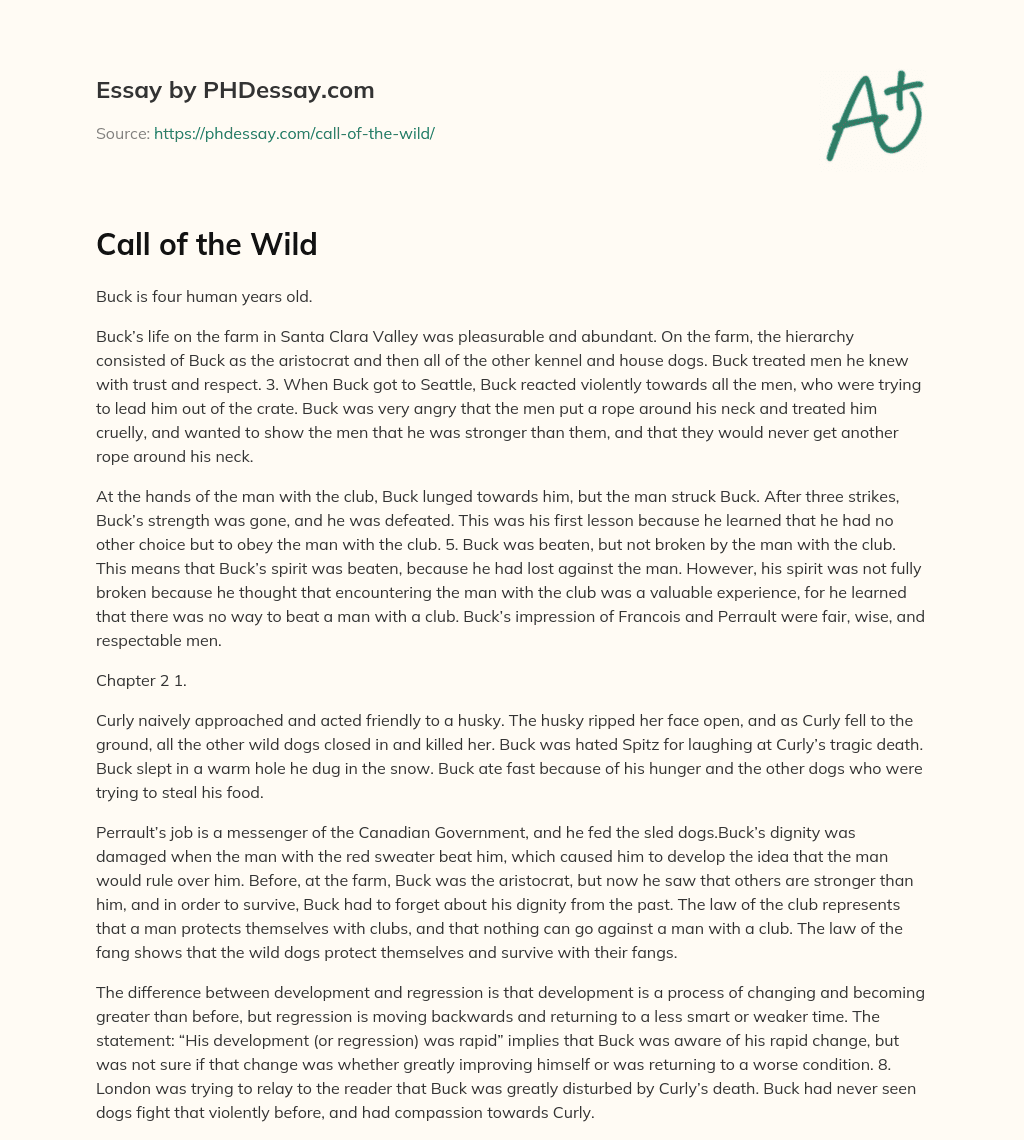 Call of the Wild essay
