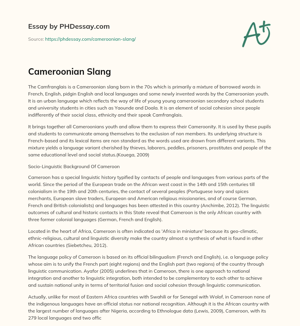 Cameroonian Slang essay