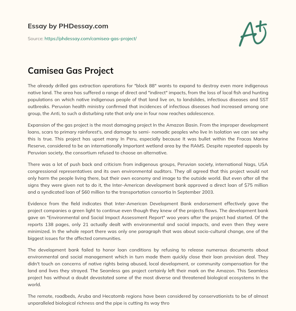 Camisea Gas Project essay