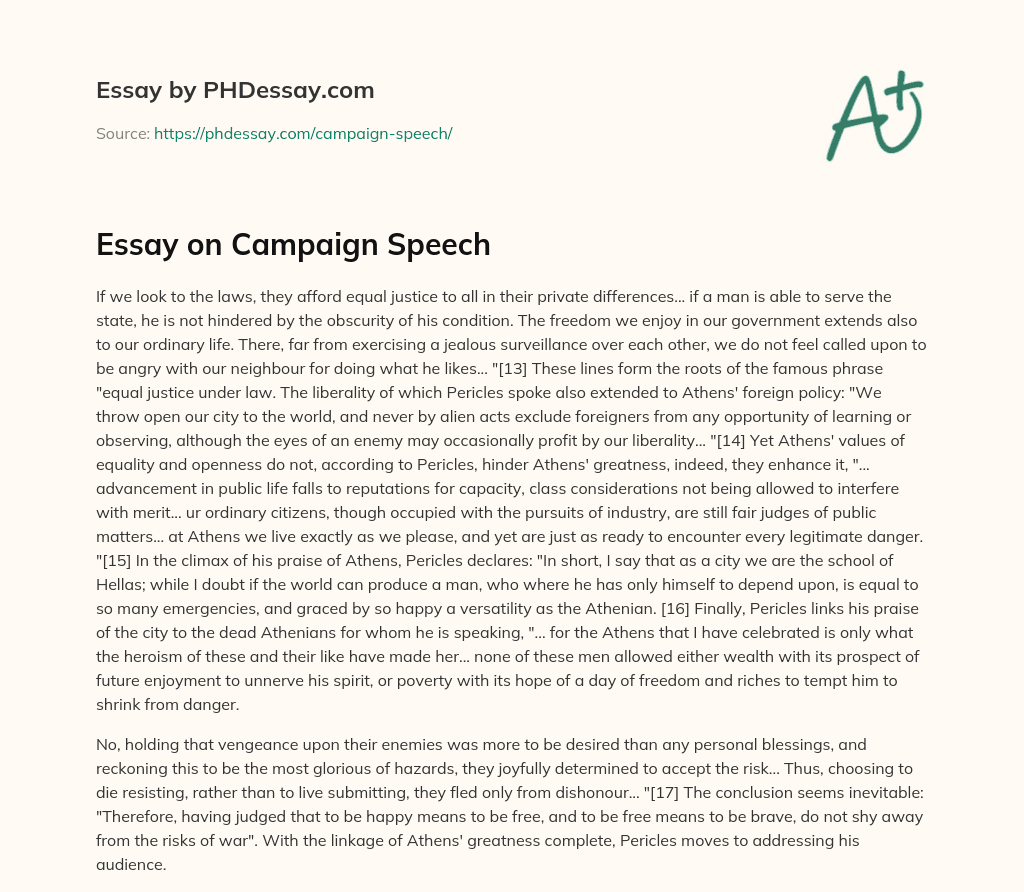 Essay on Campaign Speech essay
