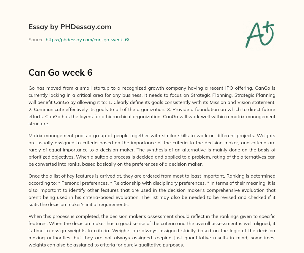 The Importance of Strategic Planning for CanGo’s Growth and Success essay