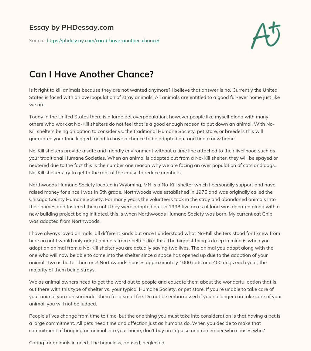 Can I Have Another Chance? essay