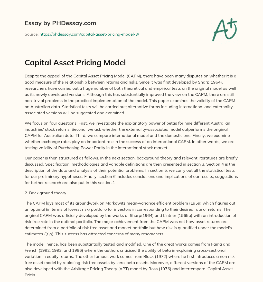 Capital Asset Pricing Model essay