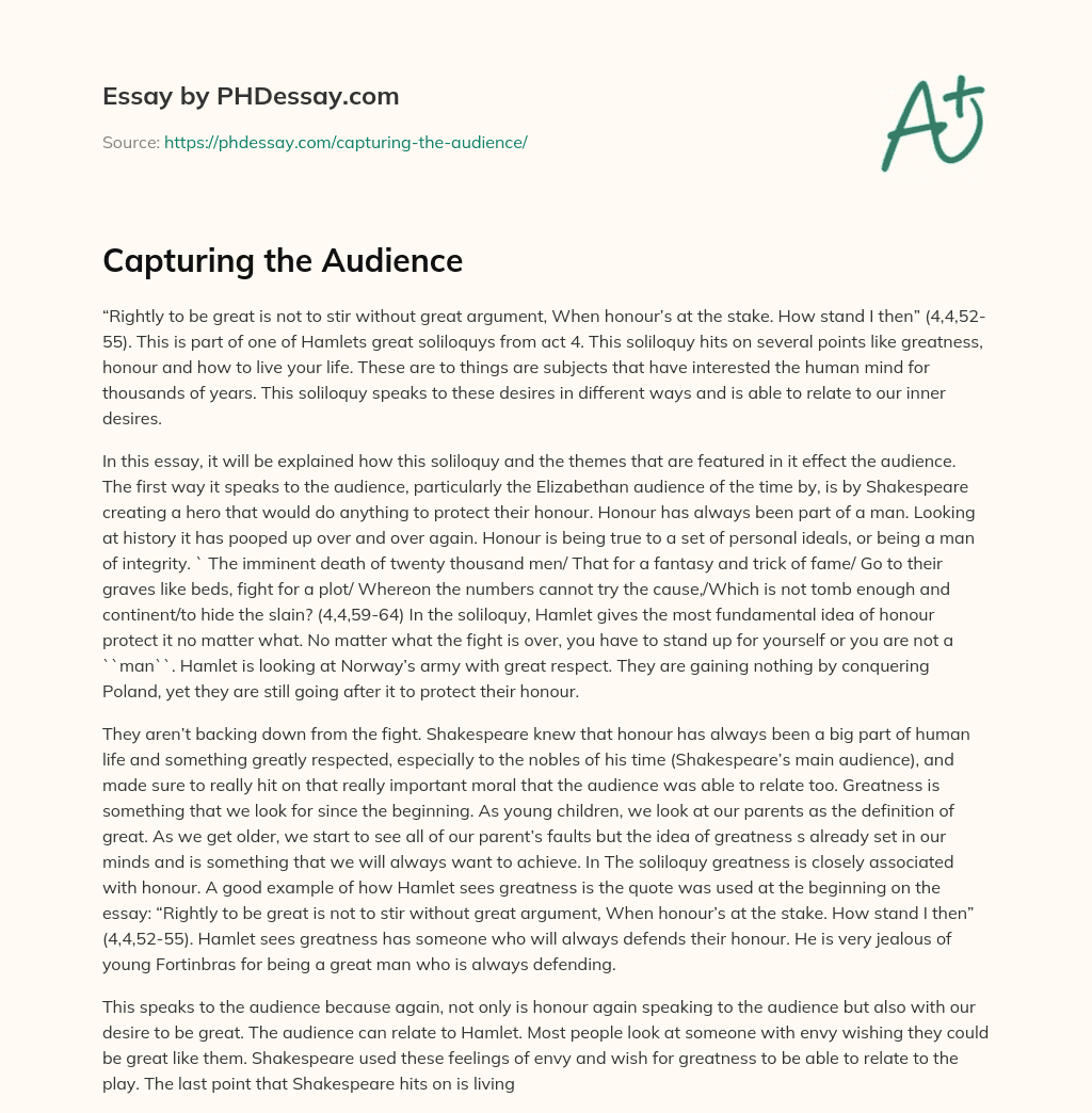 Capturing the Audience essay