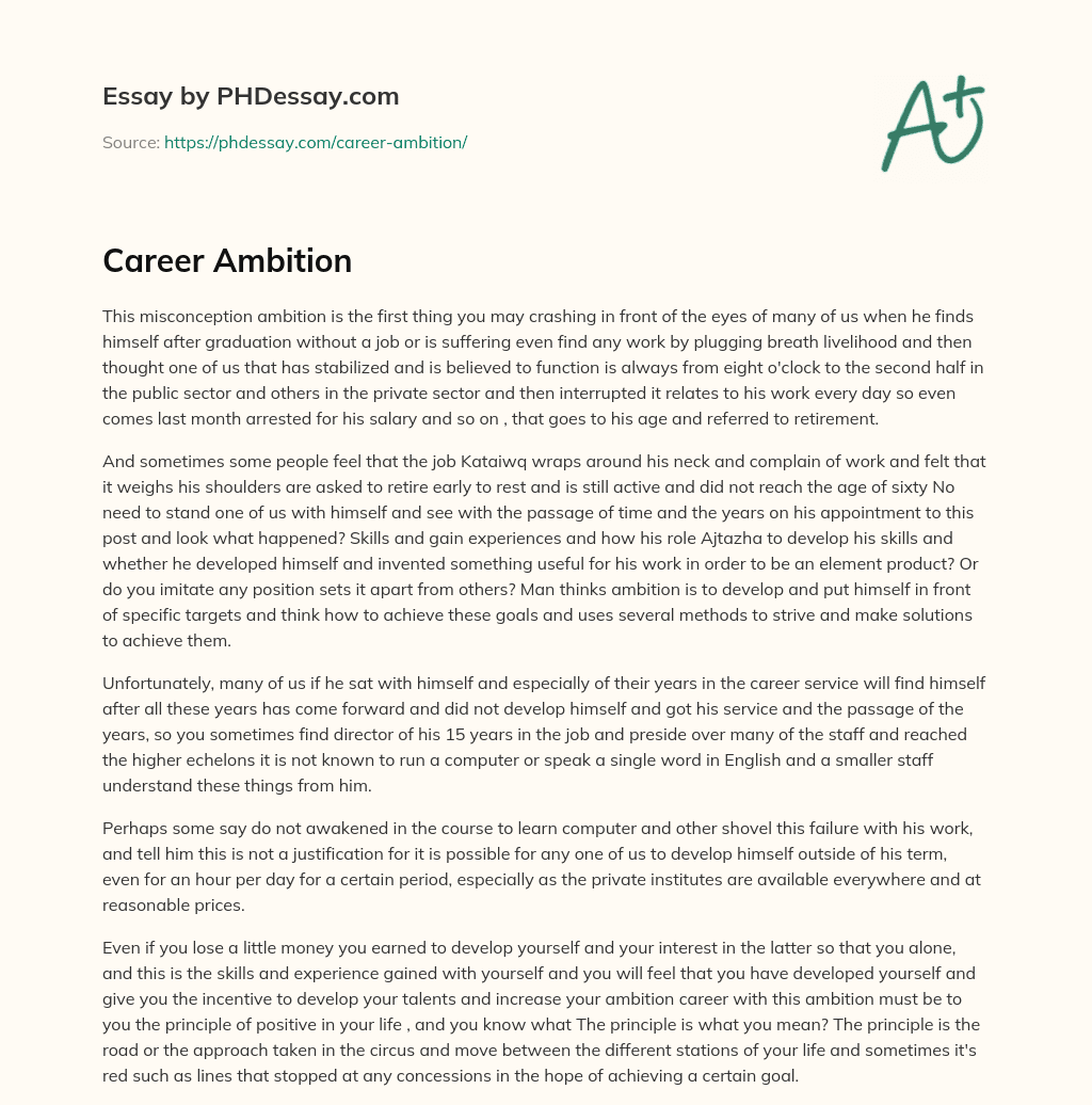 Career Ambition essay