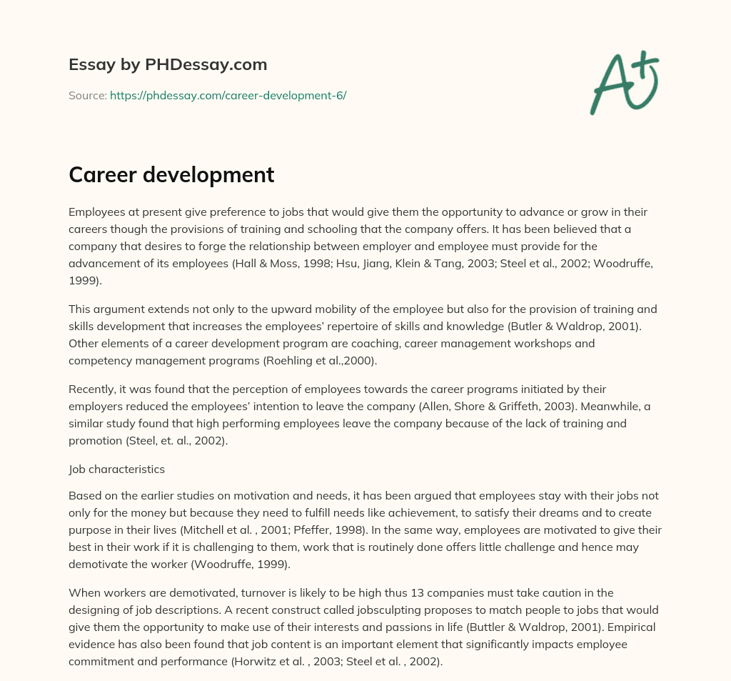 Career development essay