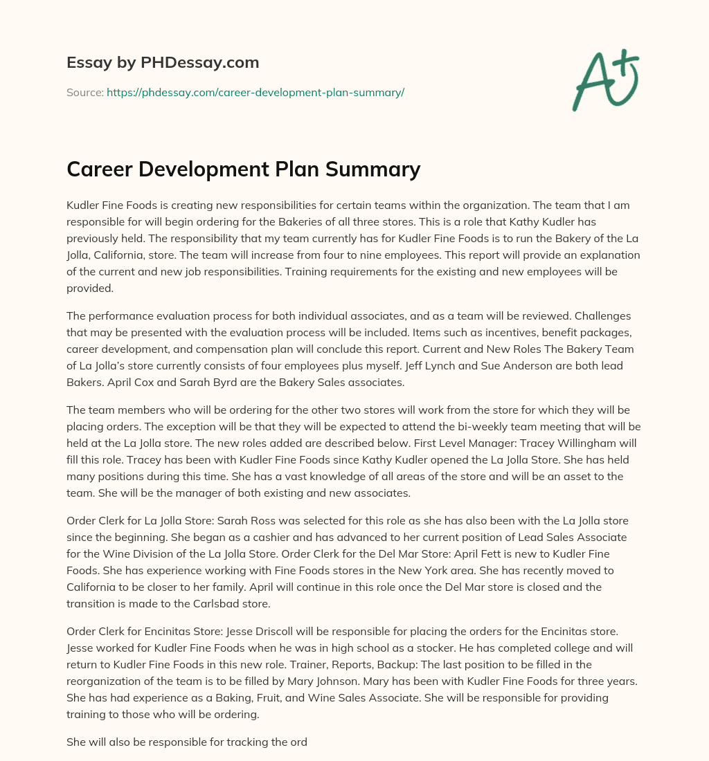 Career Development Plan Summary essay