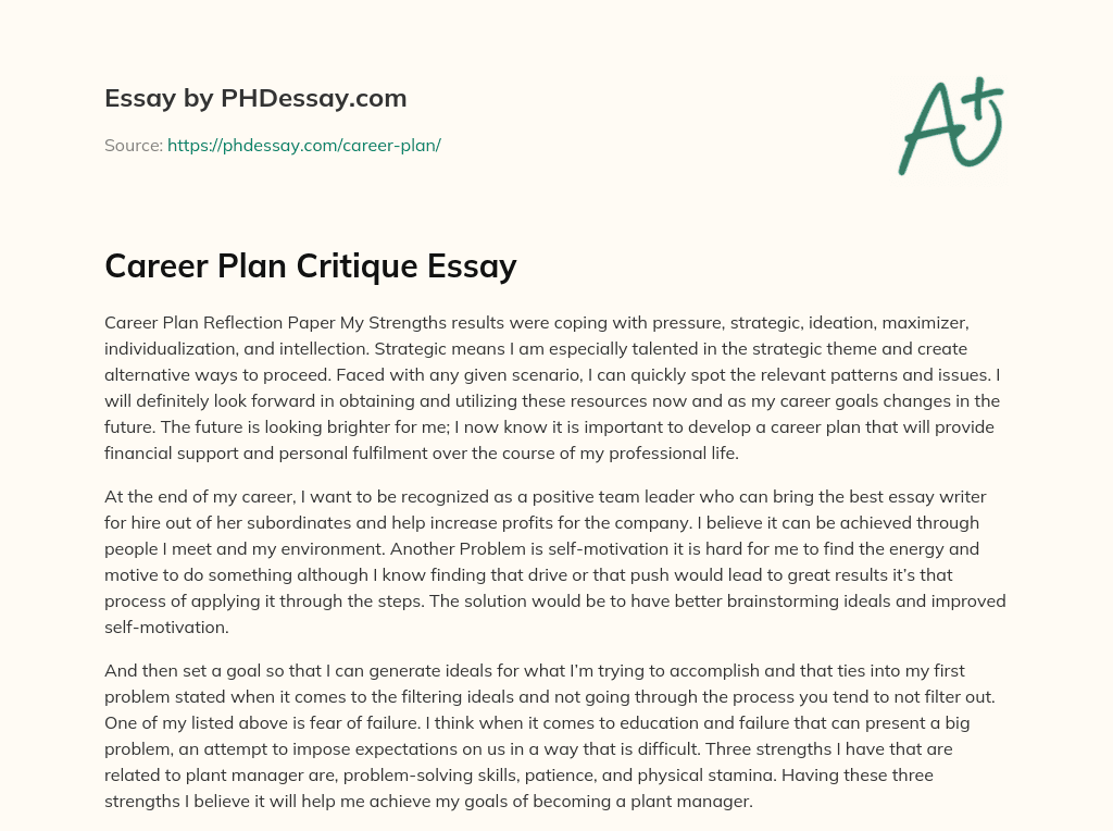 Career Plan Critique Essay essay