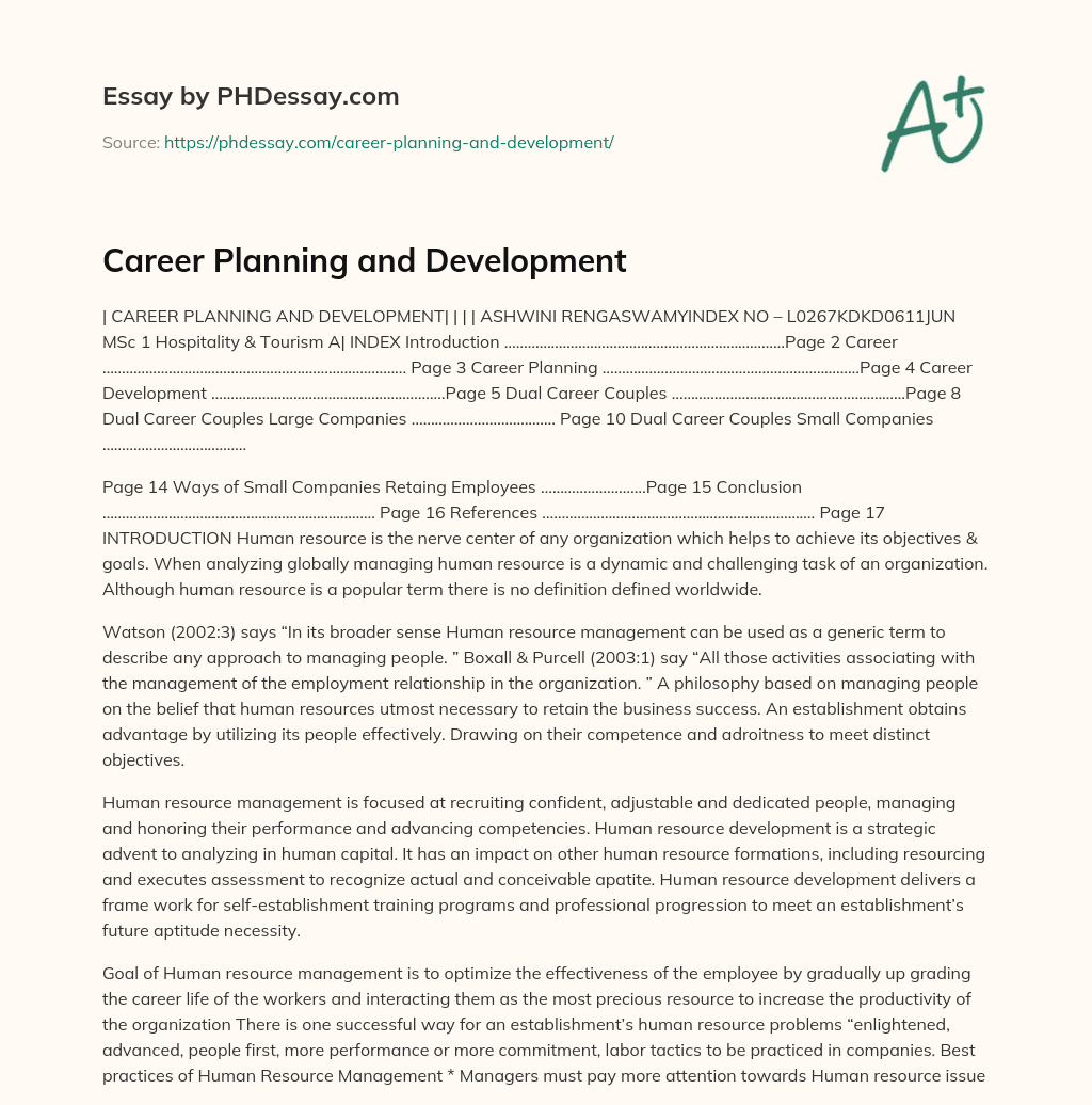 Career Planning and Development essay
