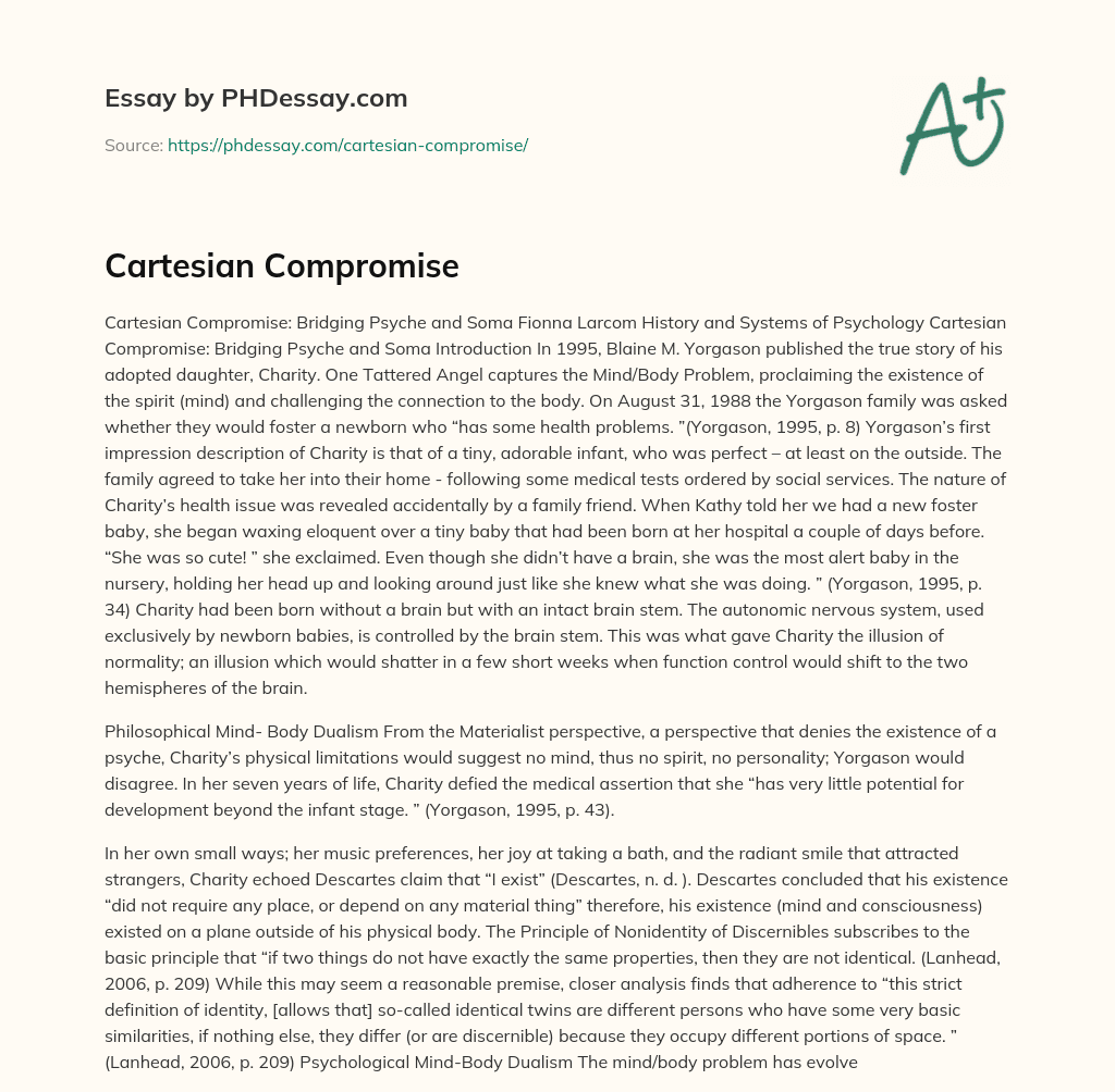 Cartesian Compromise essay