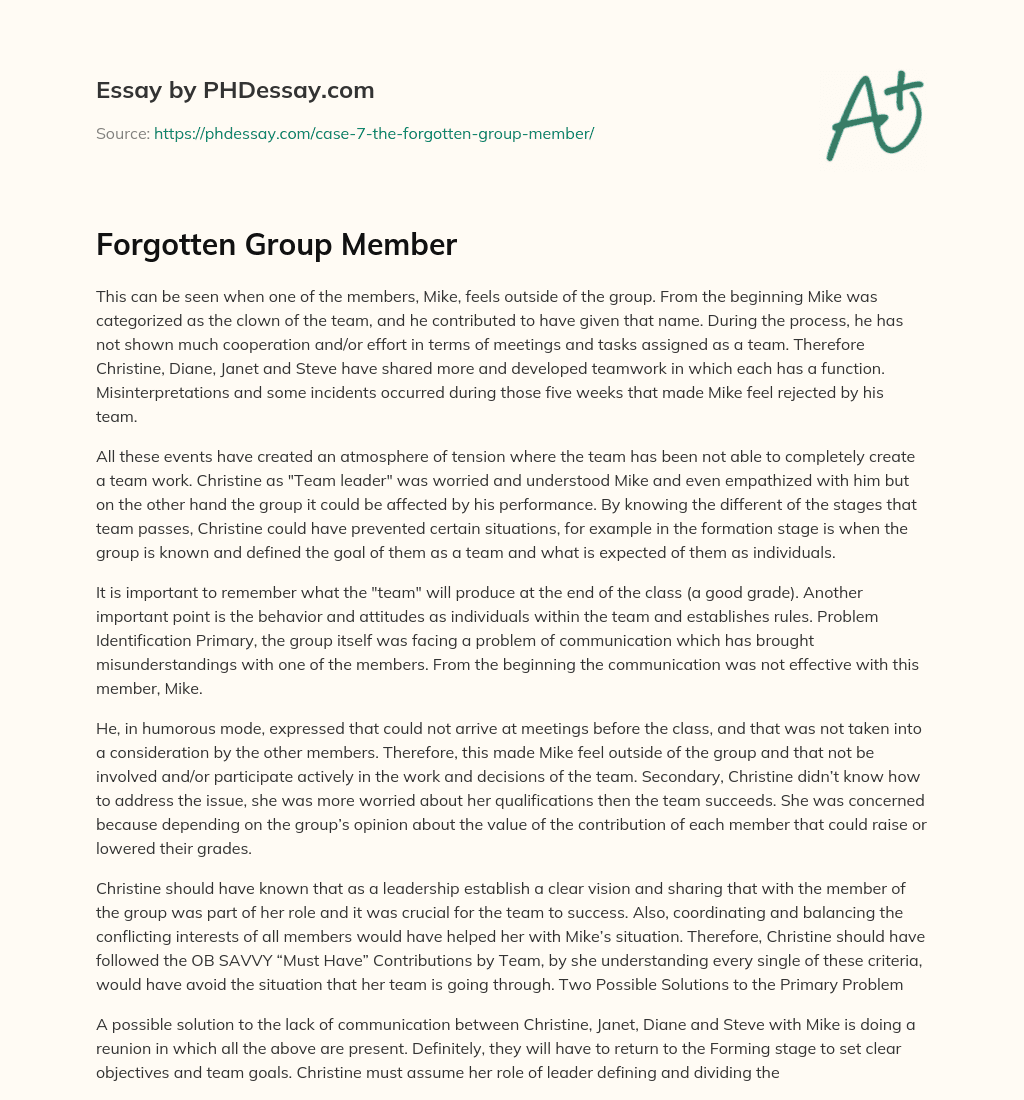Forgotten Group Member essay
