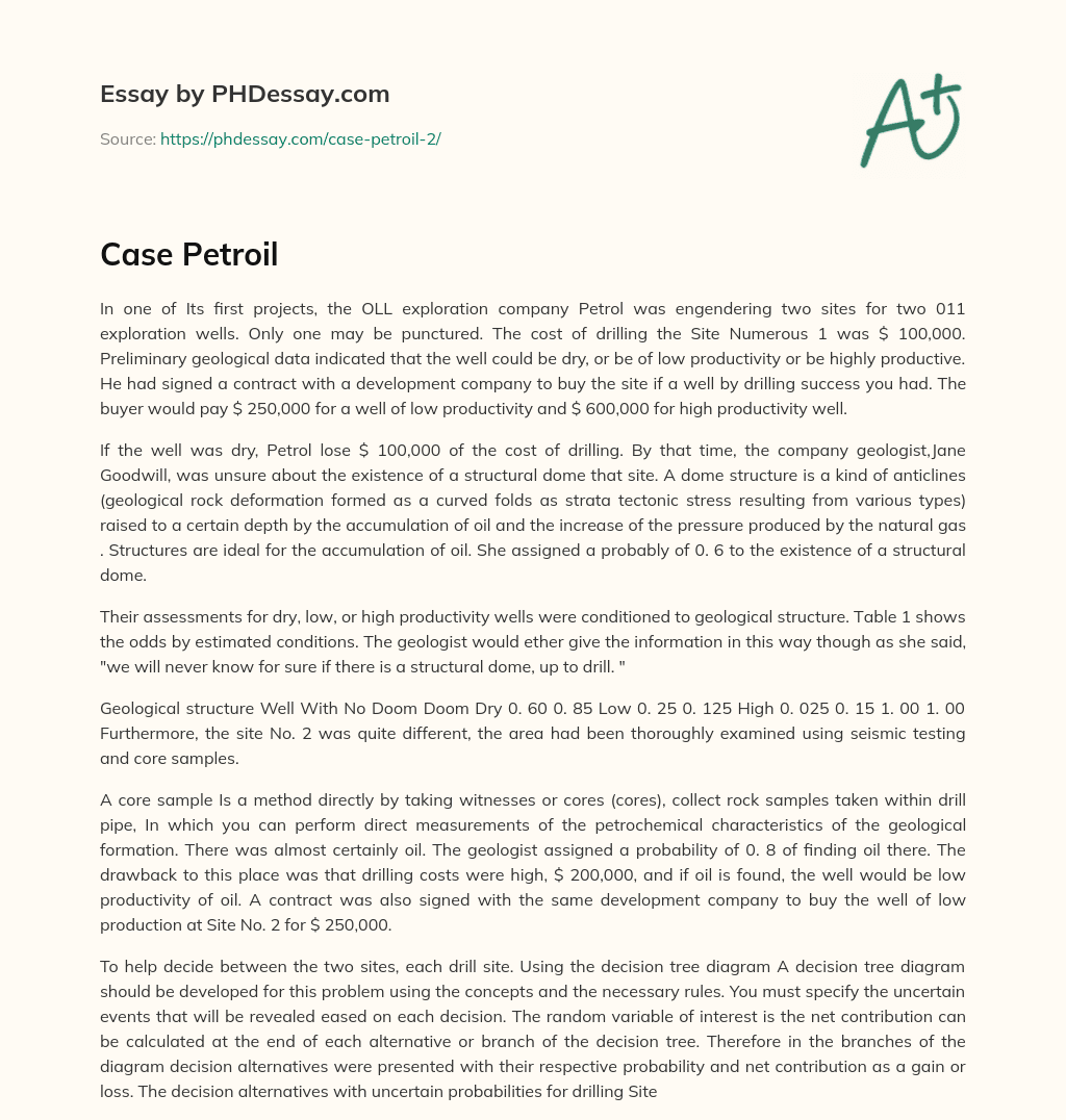 Case Petroil essay