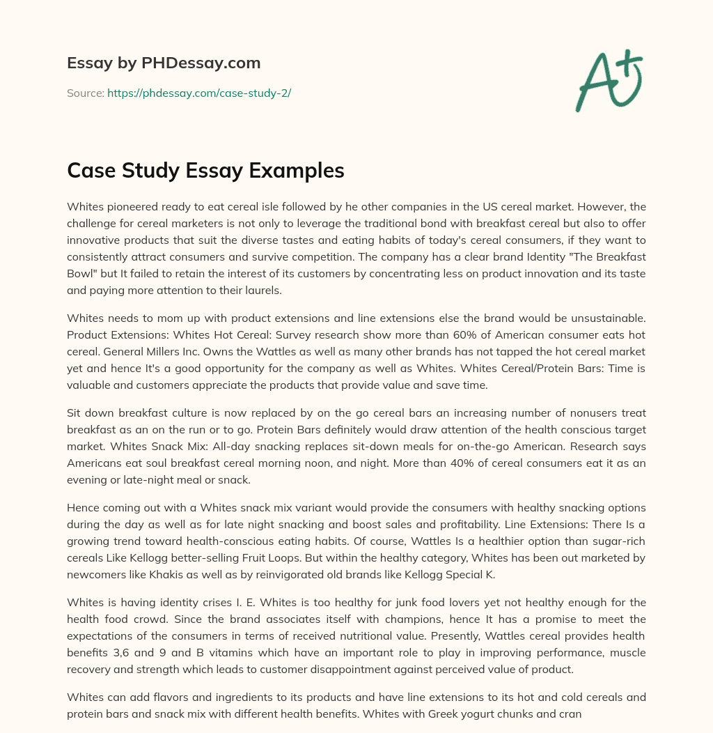 Case Study Essay Examples essay
