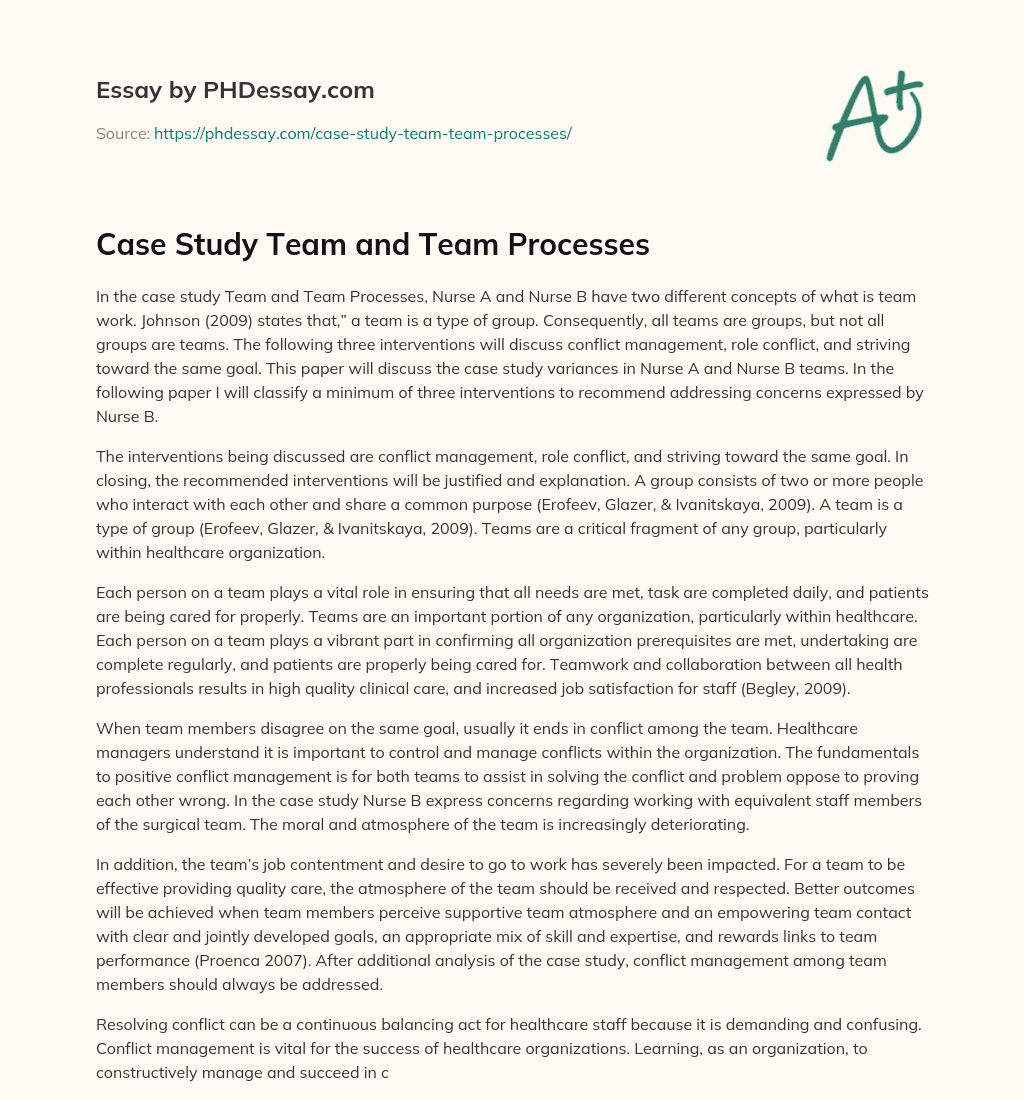 Case Study Team and Team Processes essay