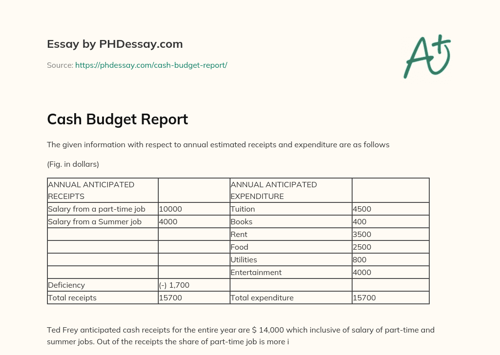 Cash Budget Report essay