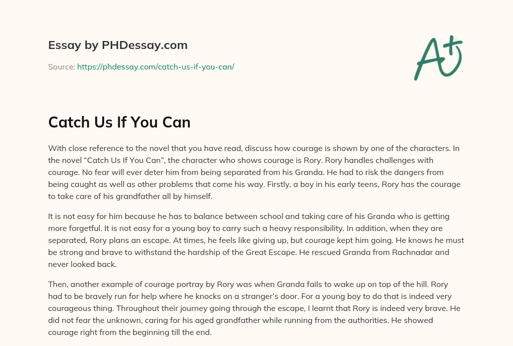 Catch Us If You Can essay