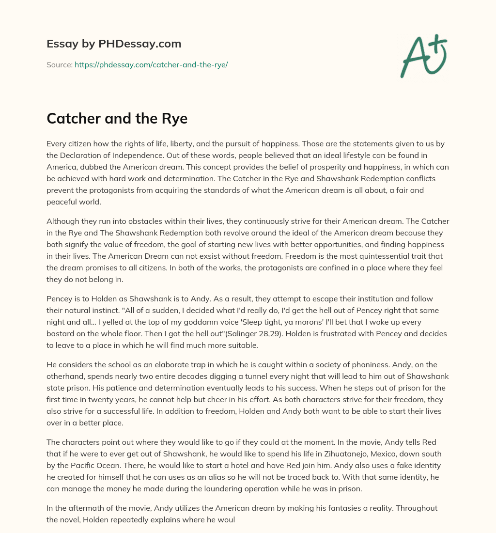 Catcher and the Rye essay