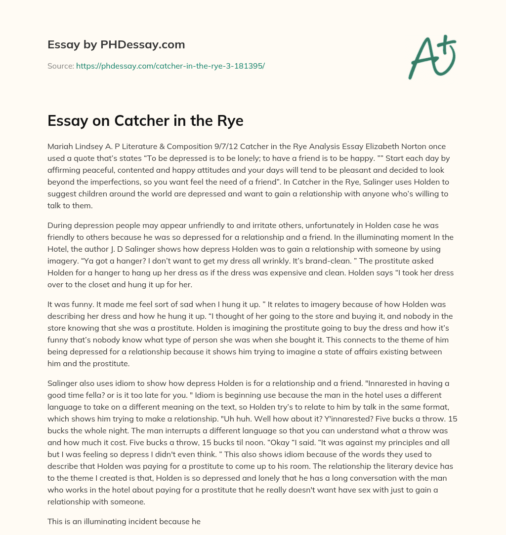Essay on Catcher in the Rye essay