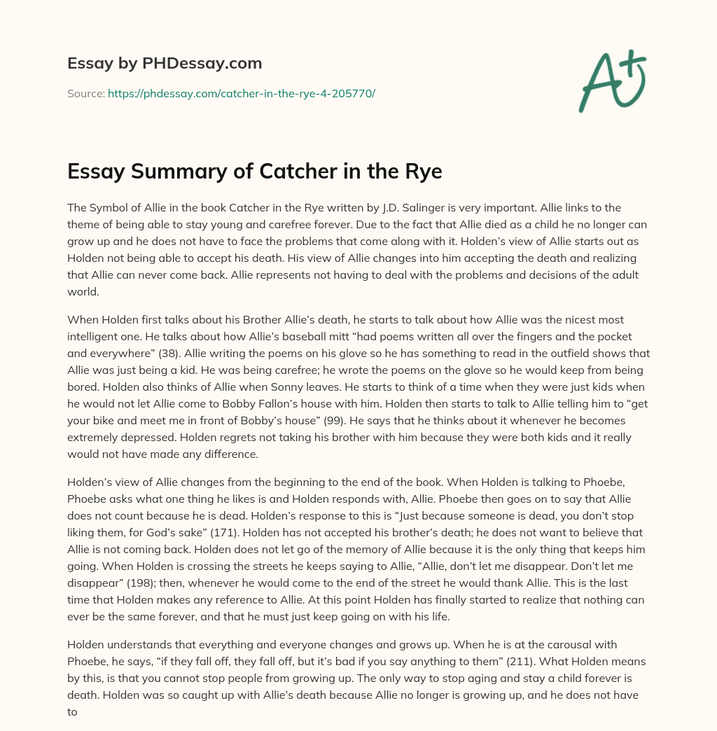 Essay Summary of Catcher in the Rye essay