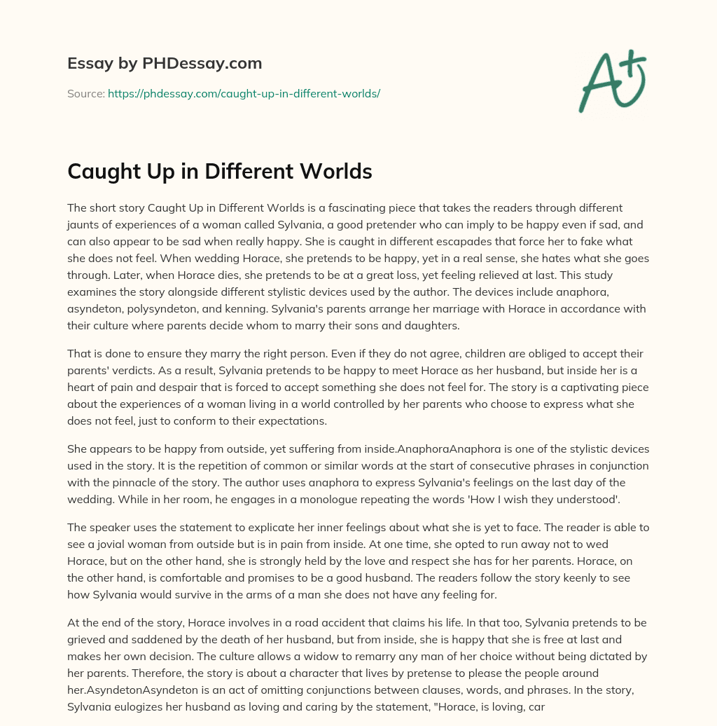 Caught Up in Different Worlds essay