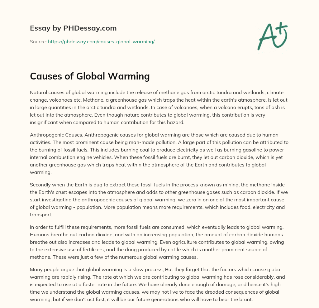 Causes of Global Warming essay