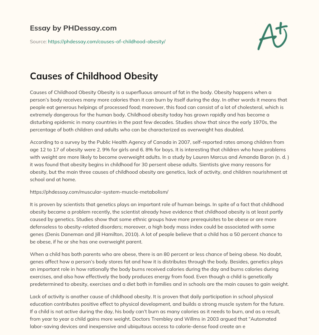 childhood obesity causes essay