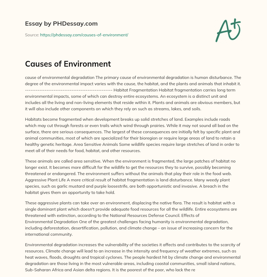 Causes of Environment essay