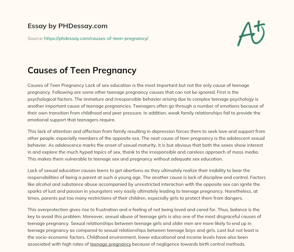 Causes of Teen Pregnancy essay