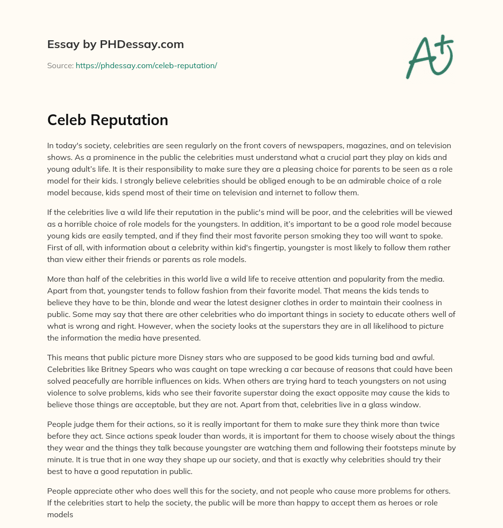 Celeb Reputation essay