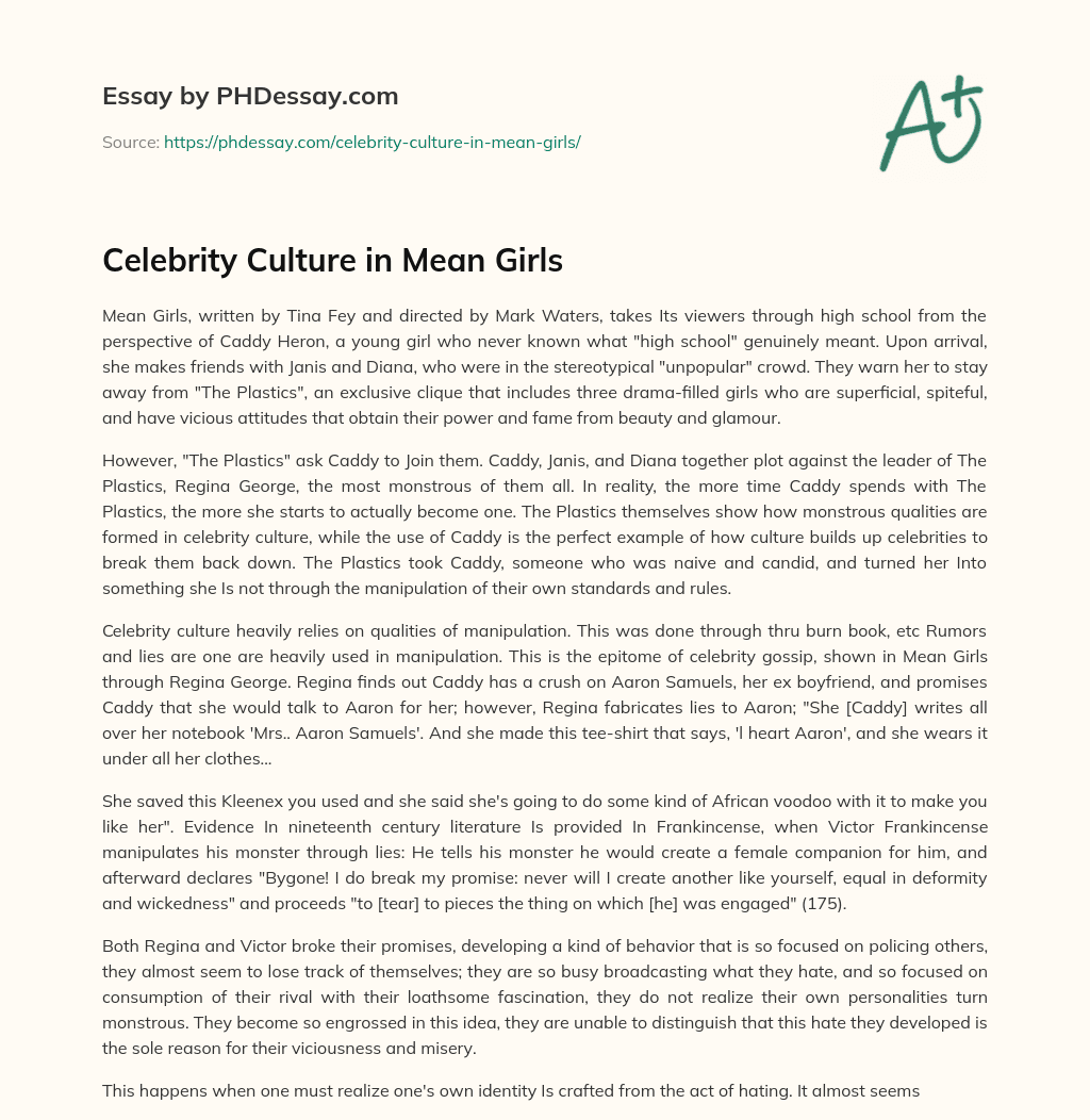 Celebrity Culture in Mean Girls essay