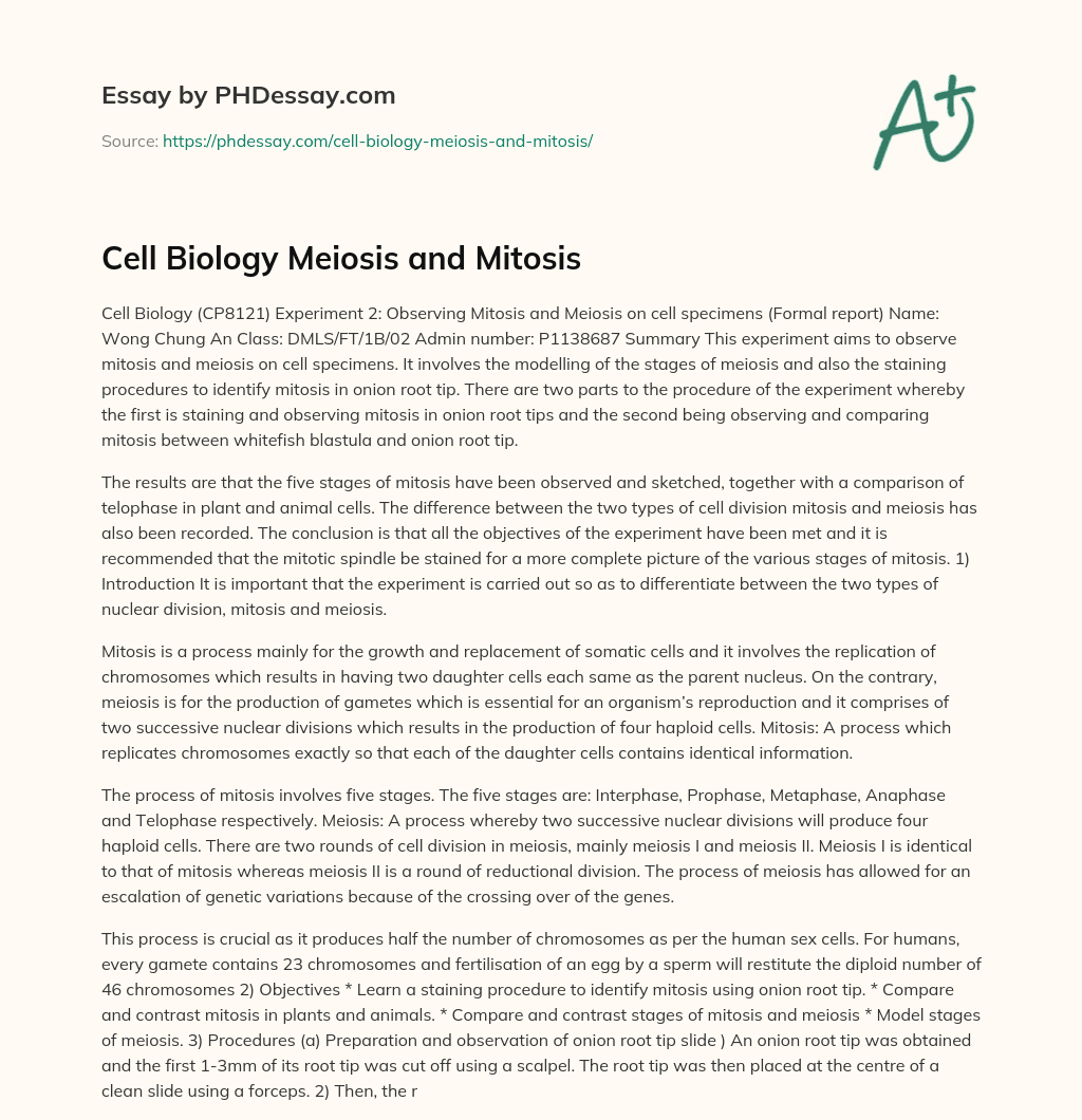 Cell Biology Meiosis and Mitosis essay