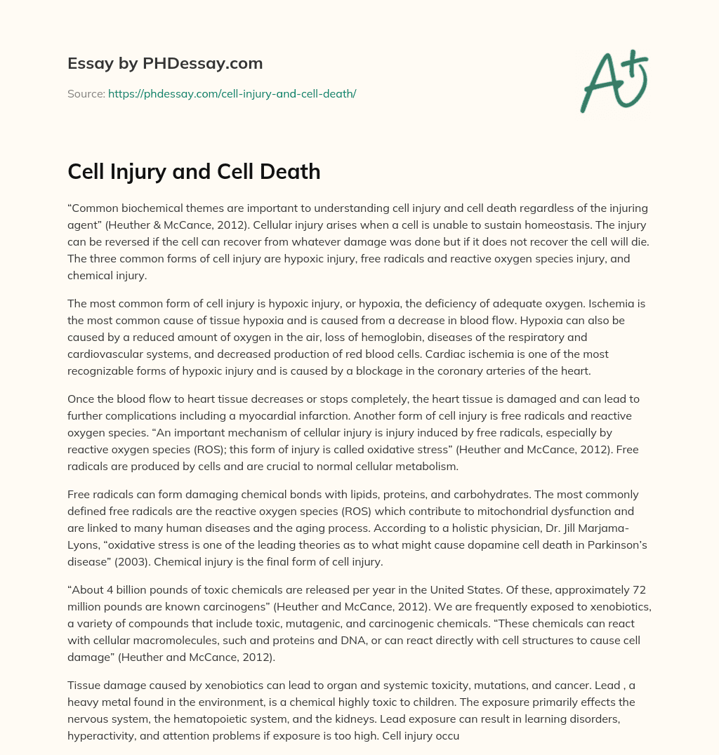 Cell Injury and Cell Death essay