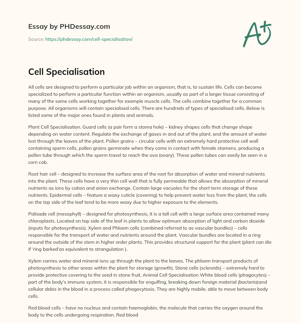 Cell Specialisation essay