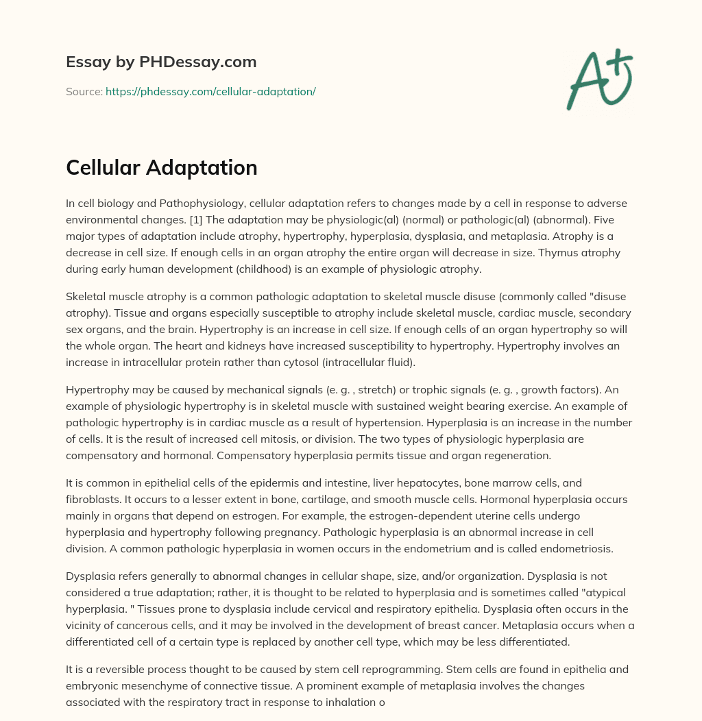 Cellular Adaptation essay