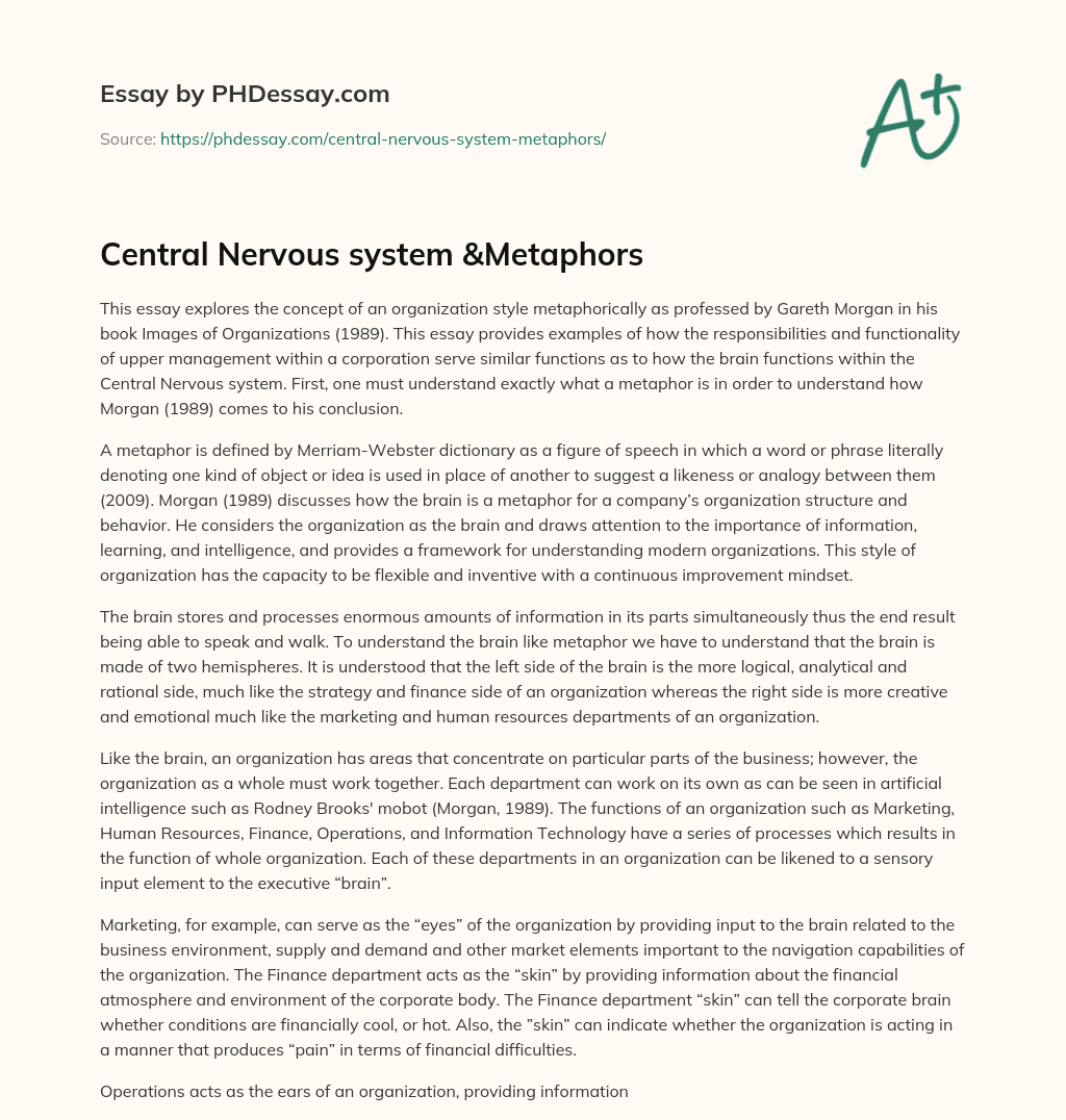 Central Nervous system &Metaphors essay