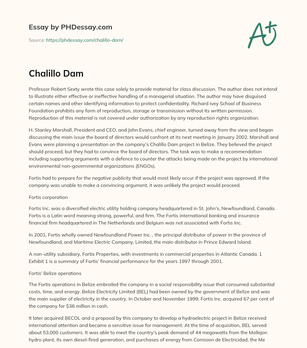 Chalillo Dam essay