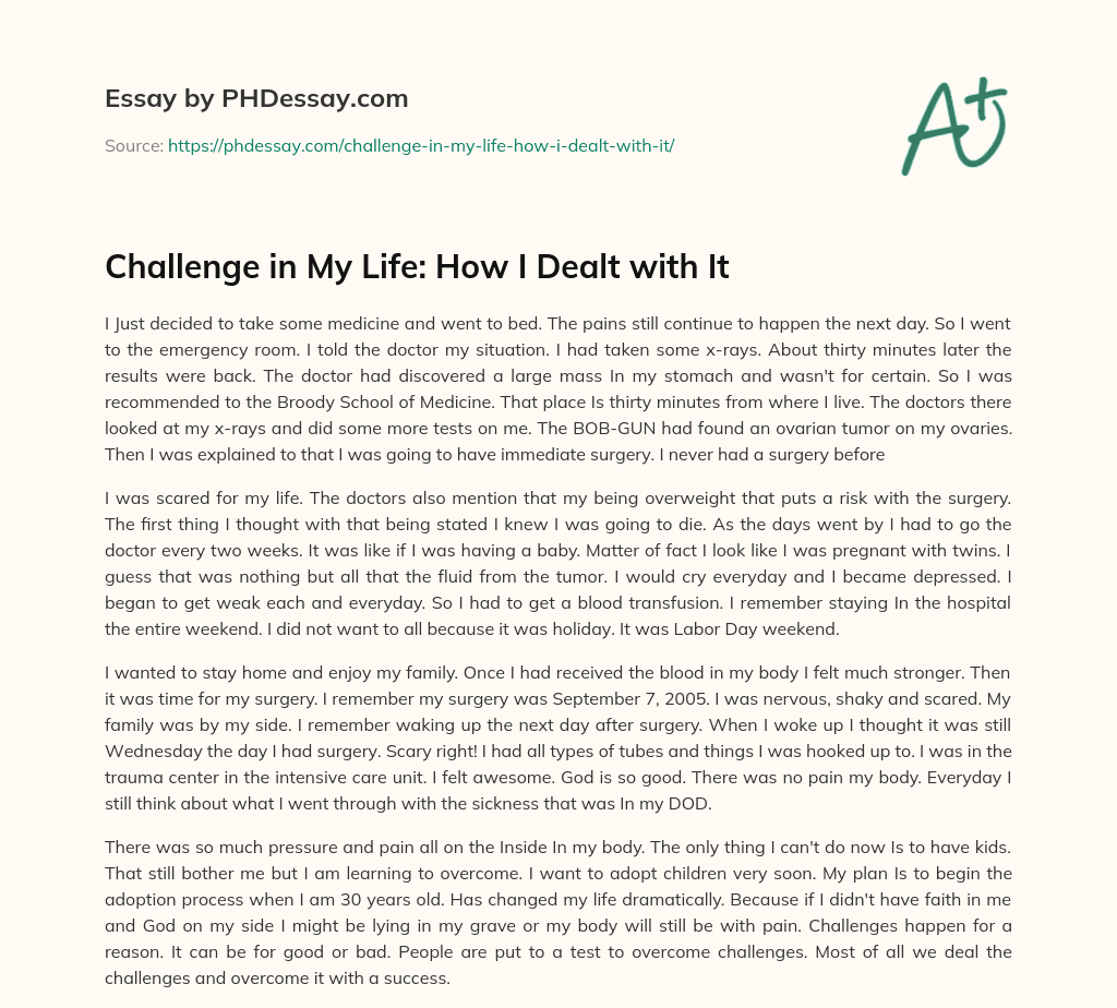 my life challenges essay