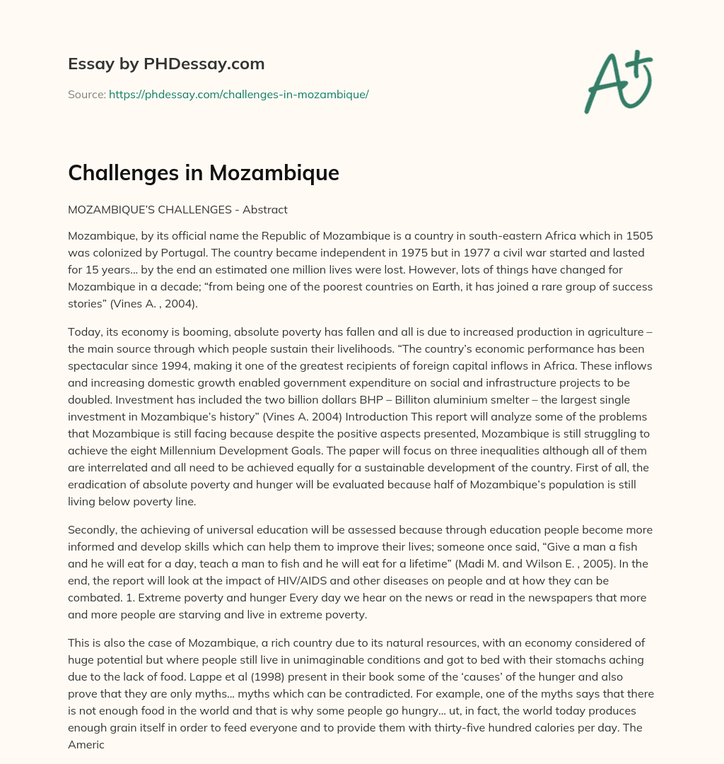 Challenges in Mozambique essay