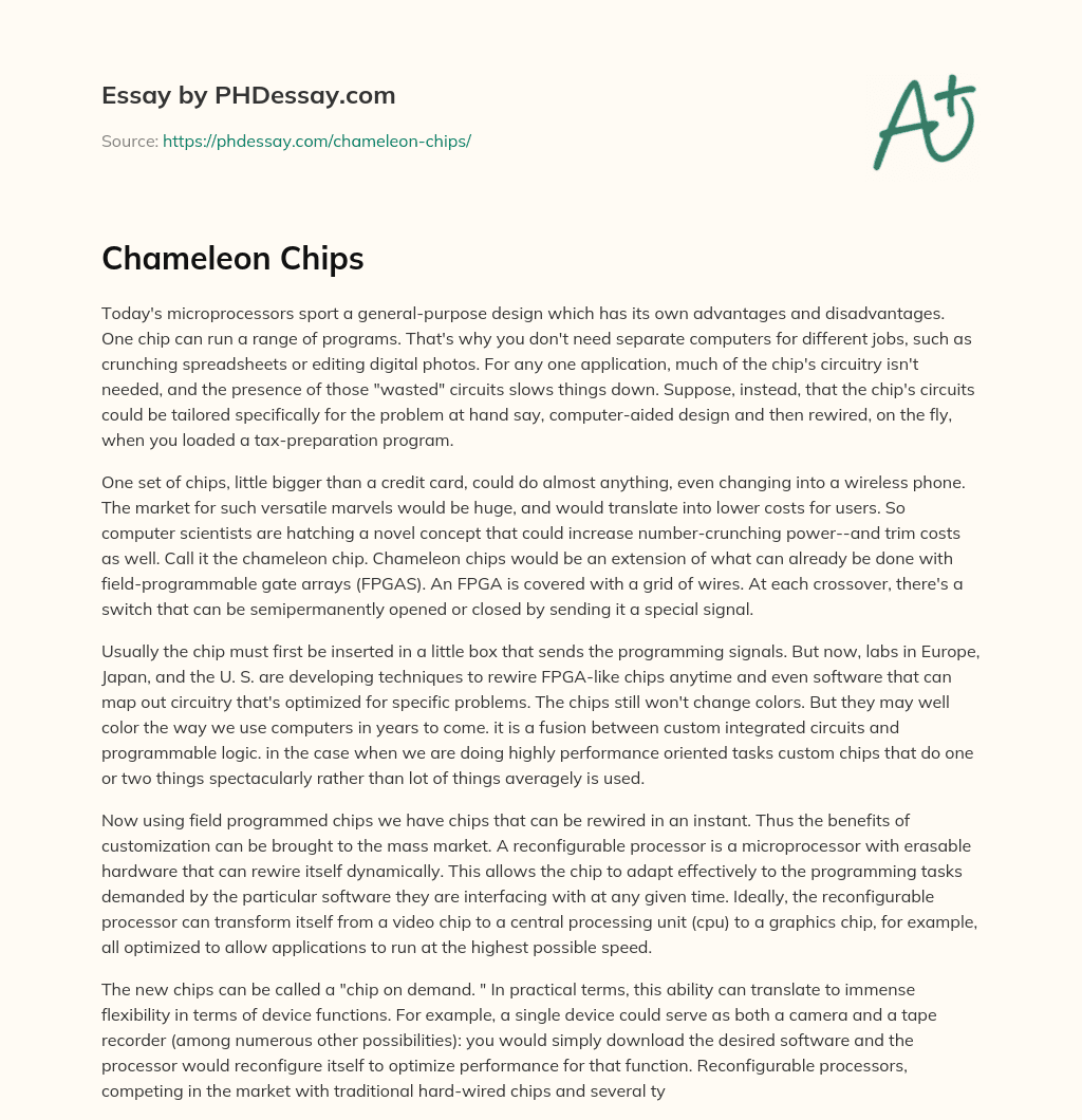 Chameleon Chips essay
