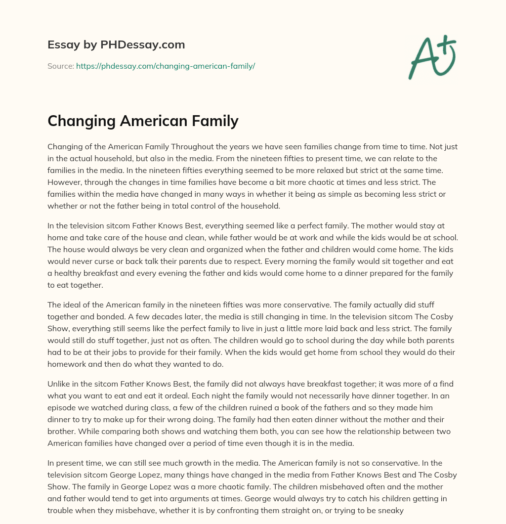 Changing American Family essay