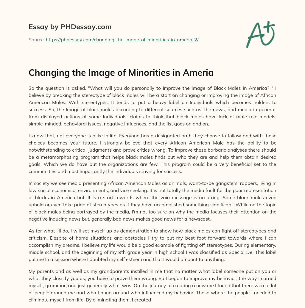 Changing the Image of Minorities in Ameria essay