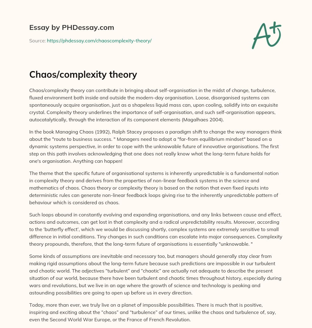Chaos/complexity theory essay