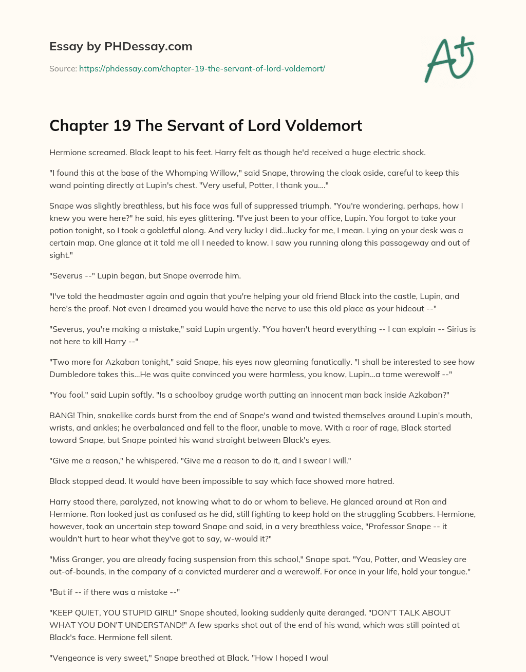 Chapter 19 The Servant of Lord Voldemort essay