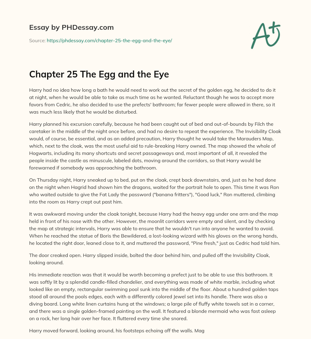 Chapter 25 The Egg and the Eye essay