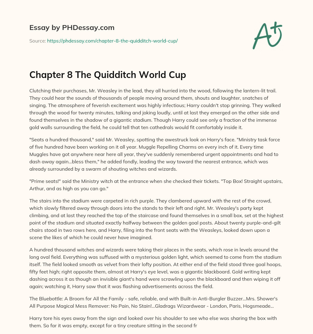 Chapter 8 The Quidditch World Cup essay