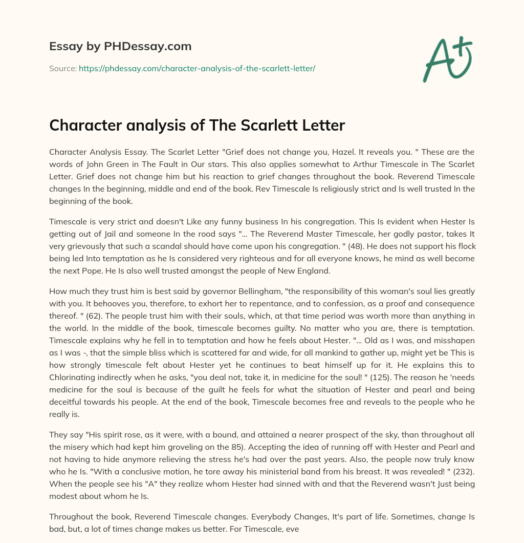 Character analysis of The Scarlett Letter essay