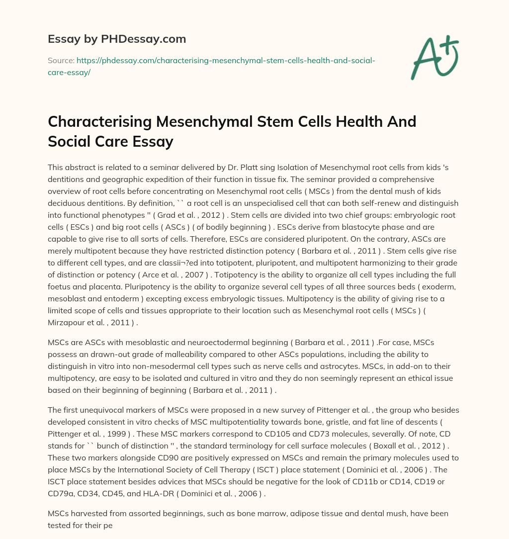Characterising Mesenchymal Stem Cells Health And Social Care Essay essay