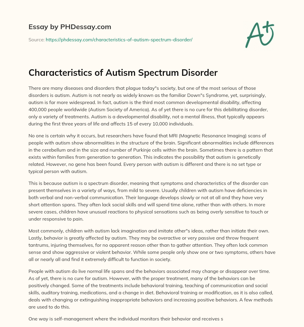 autism characteristics essay