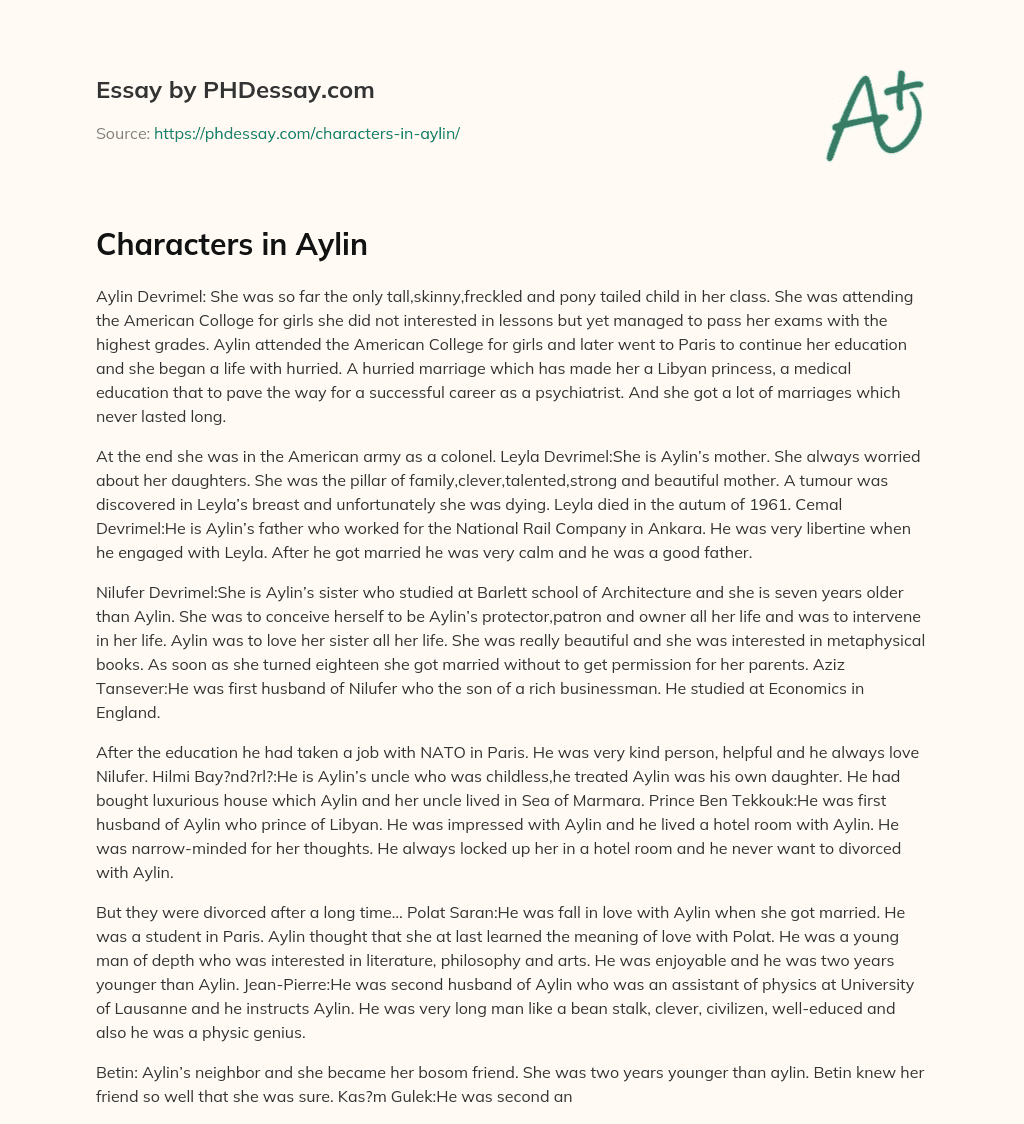 Characters in Aylin essay