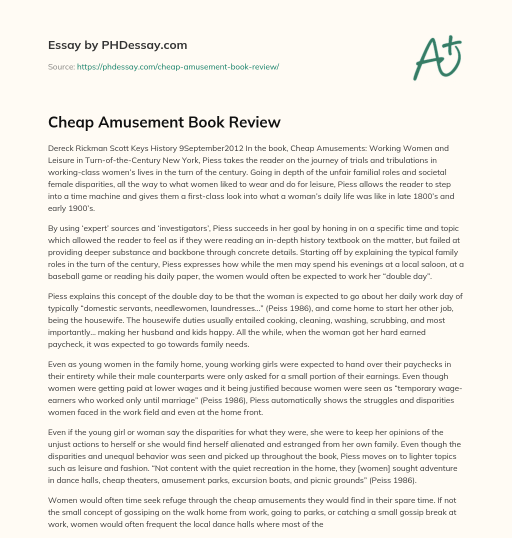 Cheap Amusement Book Review essay